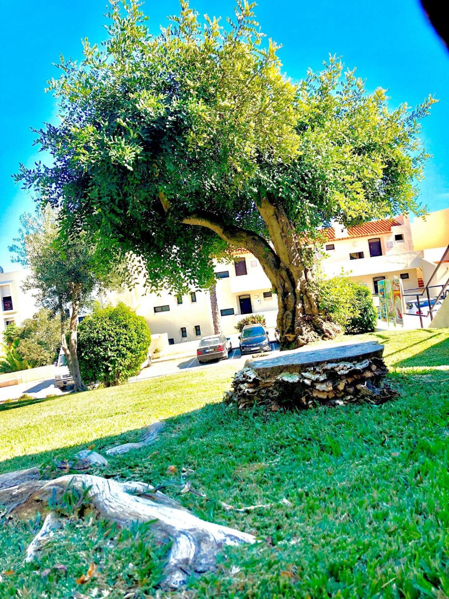 Albufeira Jardim - Apartamentos Turisticos Bagian luar foto
